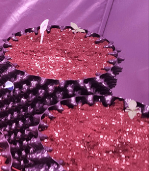 1596358741220.png 1596358741220.png