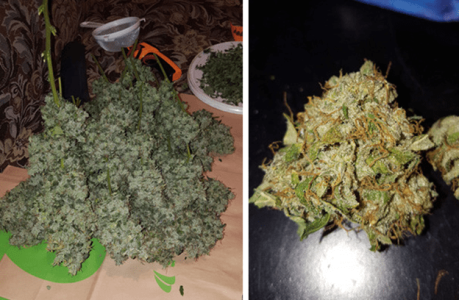 1596359011450.png 1596359011450.png