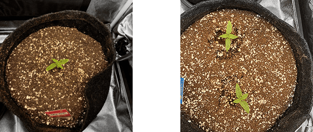 1596487396960.png 1596487396960.png