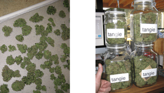 1596487446155.png 1596487446155.png