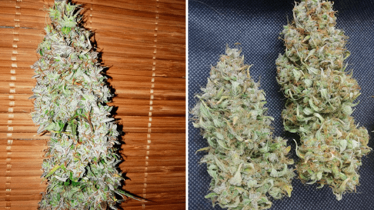 1597762410026.png 1597762410026.png