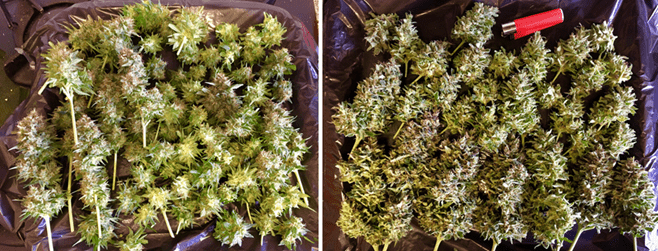 1597927558991.png 1597927558991.png