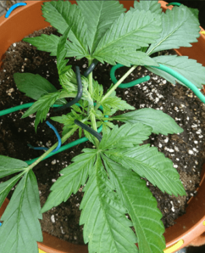 1599839553752.png 1599839553752.png