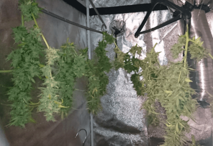 1599839582154.png 1599839582154.png