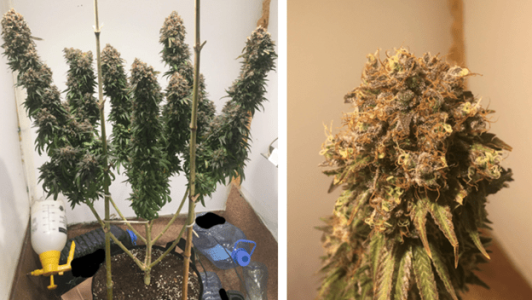 1600245291310.png 1600245291310.png