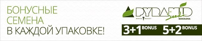 banner-pyramid4__9KvHjlABKiDwyuqP.jpg banner-pyramid4__9KvHjlABKiDwyuqP.jpg