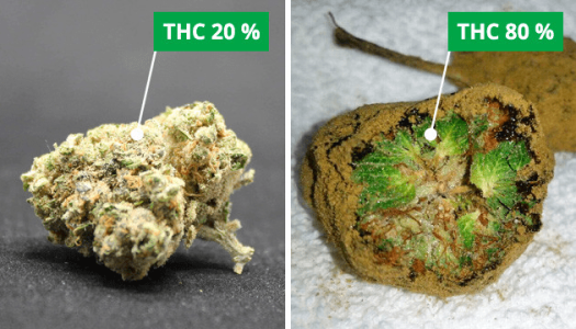 1606581859430.png 1606581859430.png