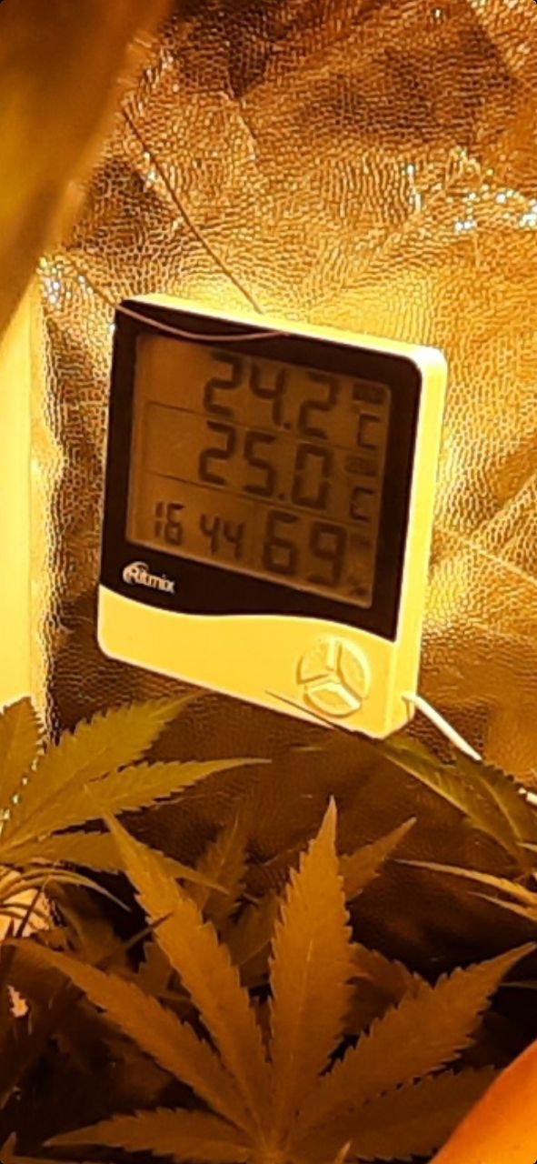 IMG_20220318_203856_921.jpg IMG_20220318_203856_921.jpg