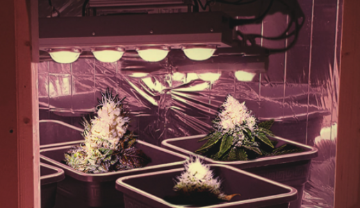 1647724186853.png 1647724186853.png