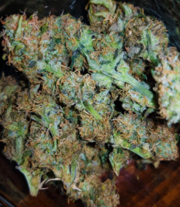 1647869492582.png 1647869492582.png