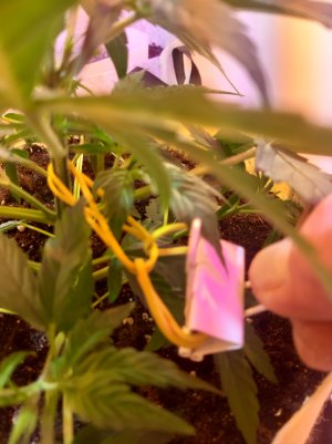 20220328_120206.jpg 20220328_120206.jpg