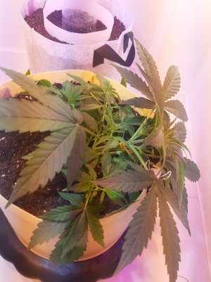 20220328_124833.jpg 20220328_124833.jpg