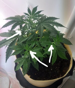 20220328_205921.jpg 20220328_205921.jpg