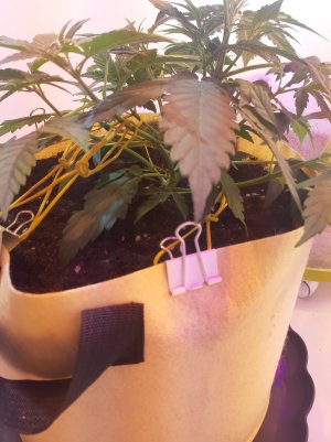 20220329_091934.jpg 20220329_091934.jpg