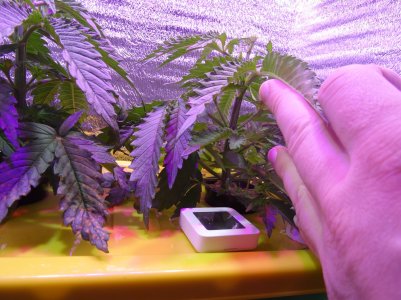 DSC00217.jpg DSC00217.jpg