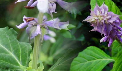 1731407589215.png 1731407589215.png