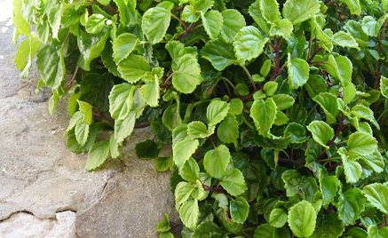 1731407646990.png 1731407646990.png