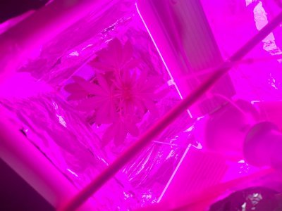 photo_2024-11-18_19-17-08 (2).jpg