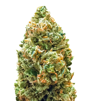 1732718762706.png 1732718762706.png