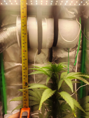 1733658727695.png 1733658727695.png