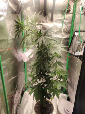 1733672309863.png 1733672309863.png