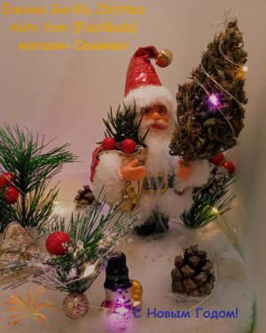 С Новым счастьем.jpg