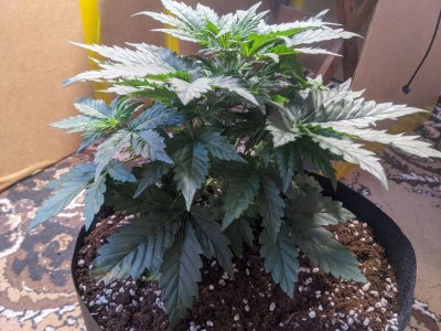 photo_2025-01-25_15-07-47 (2).jpg