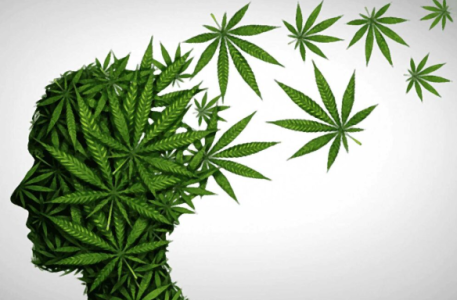 1738775313683.png 1738775313683.png