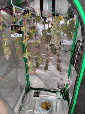 1738944201053.png 1738944201053.png