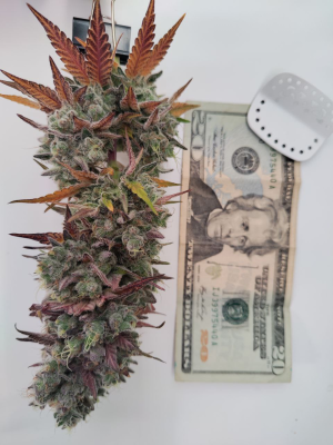 1738944212047.png 1738944212047.png