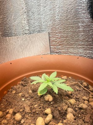 photo_2025-02-13_18-18-12 (2).jpg