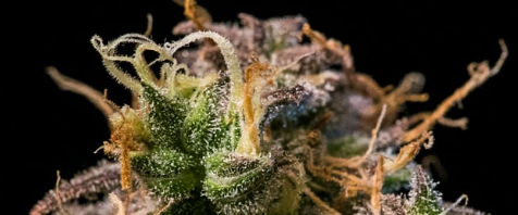 1742277429015.png 1742277429015.png