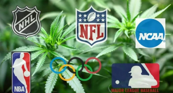 Снимок экрана 2025-03-31 175648.png Снимок экрана 2025-03-31 175648.png