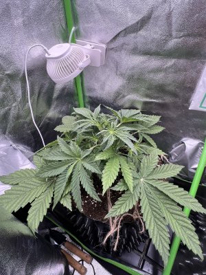 IMG_6273.jpeg IMG_6273.jpeg