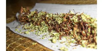 1743958306155.png 1743958306155.png