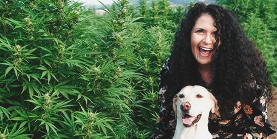 1744915357010.png 1744915357010.png