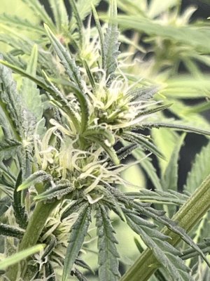 IMG_6623.jpeg IMG_6623.jpeg