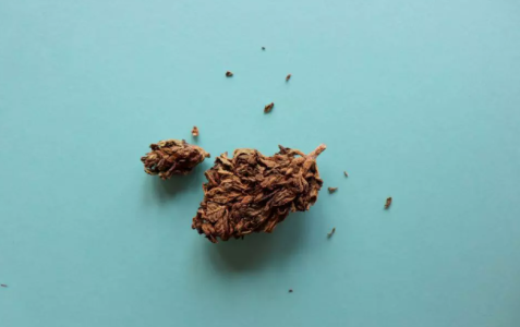 1745436976360.png 1745436976360.png