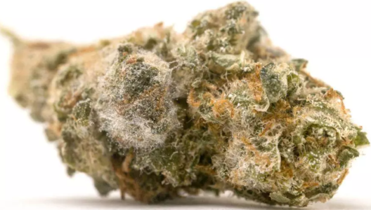 1745437560896.png 1745437560896.png