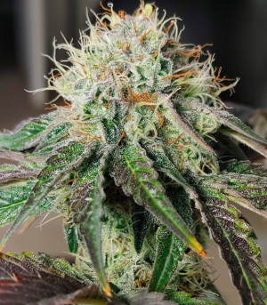 1746553097168.png 1746553097168.png