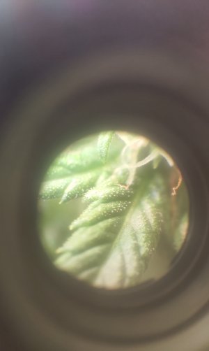 P50509-073626(1).jpg P50509-073626(1).jpg