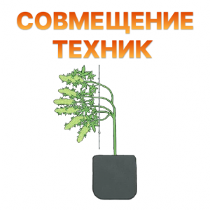 Sovmeshchenie tekhnik.png Sovmeshchenie tekhnik.png