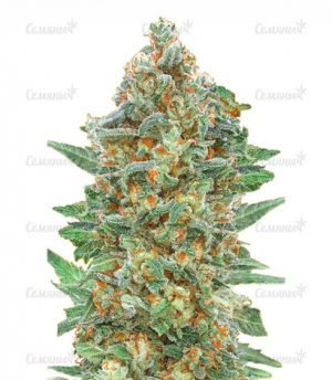 1649596462793.png 1649596462793.png