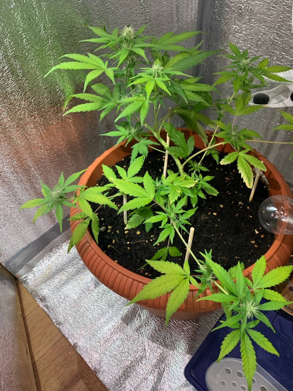 photo_2022-04-10_22-32-50.jpg photo_2022-04-10_22-32-50.jpg