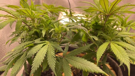 12.04  полив.jpg