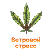 Vetrovoj stress konopli.png