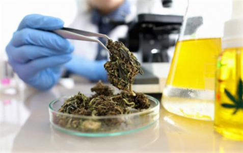 1650210671054.png 1650210671054.png