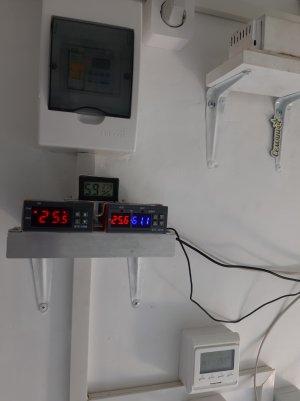 20220419_175515.jpg 20220419_175515.jpg