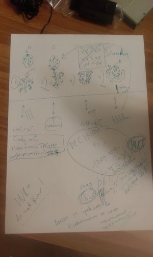 P50503-220747(1).jpg P50503-220747(1).jpg