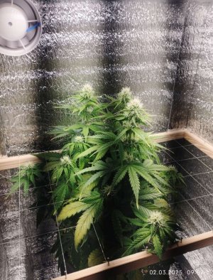 1000368010.jpg 1000368010.jpg